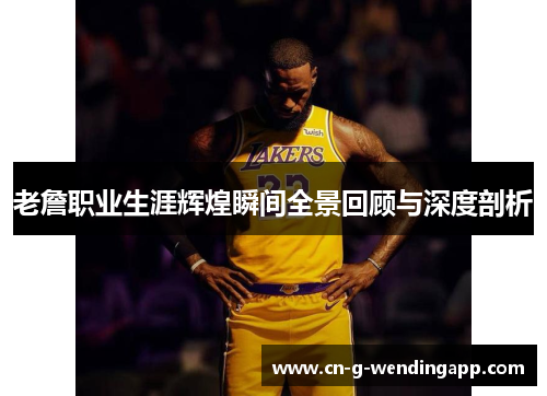 老詹职业生涯辉煌瞬间全景回顾与深度剖析 老詹职业生涯辉煌瞬间全景回顾与深度剖析