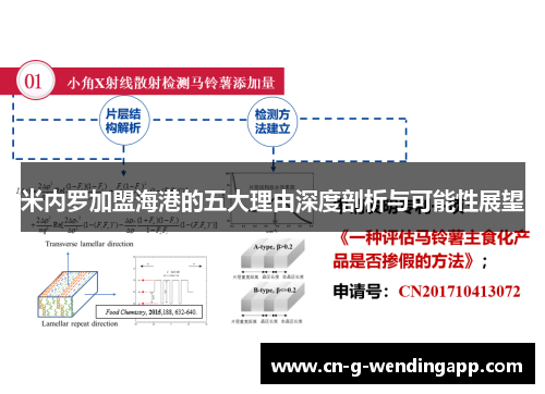 米内罗加盟海港的五大理由深度剖析与可能性展望
