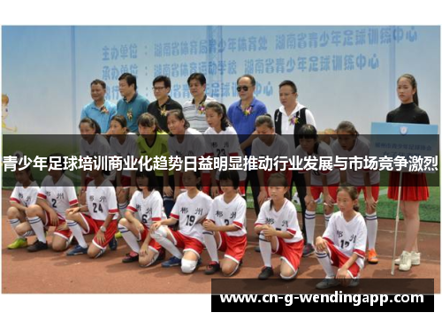 青少年足球培训商业化趋势日益明显推动行业发展与市场竞争激烈 青少年足球培训商业化趋势日益明显推动行业发展与市场竞争激烈